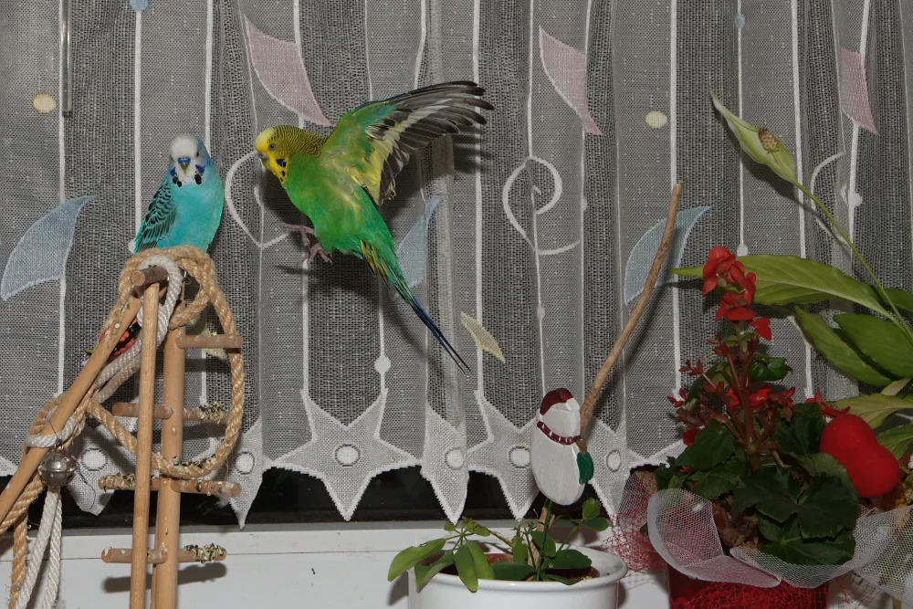 20090730-171334.jpg