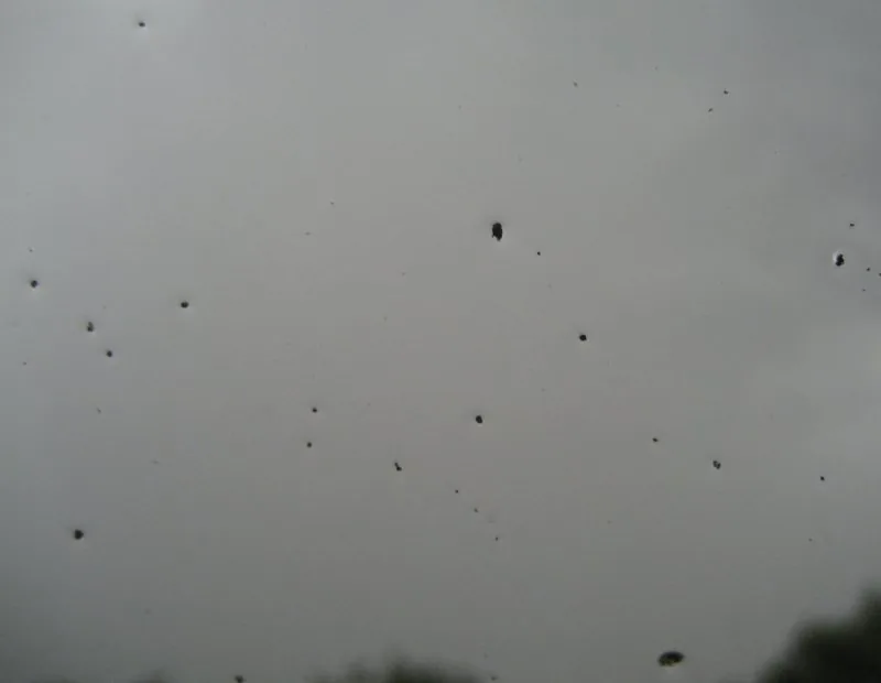 ruhrgebiet.jpg