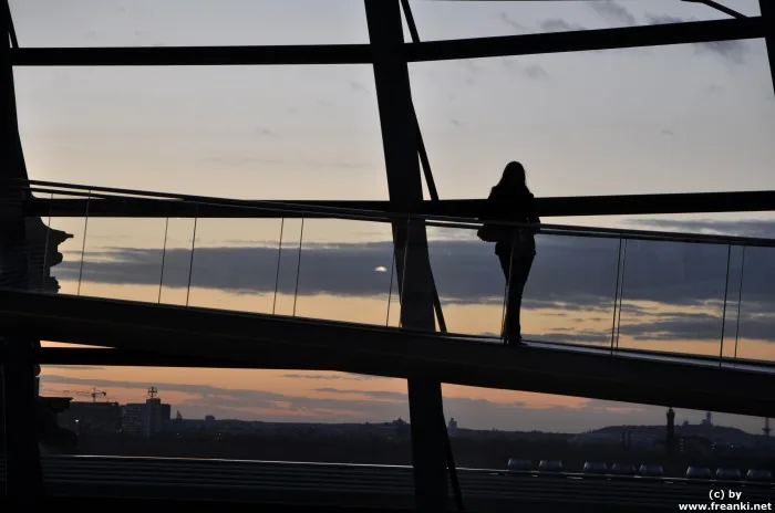 SillouettevonKathiimBundestag.jpg