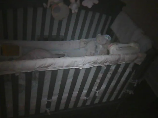 webcam_beispiel-350x261.jpg