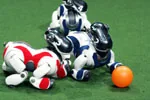 HNF_RoboCup_2005_1631_small.jpg
